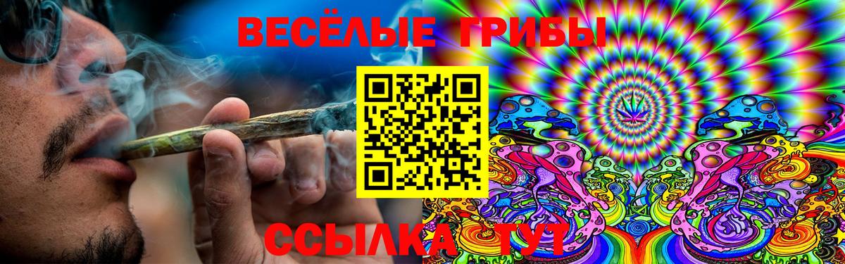 Псилоцибиновые грибы Psilocybe Ростов-на-Дону