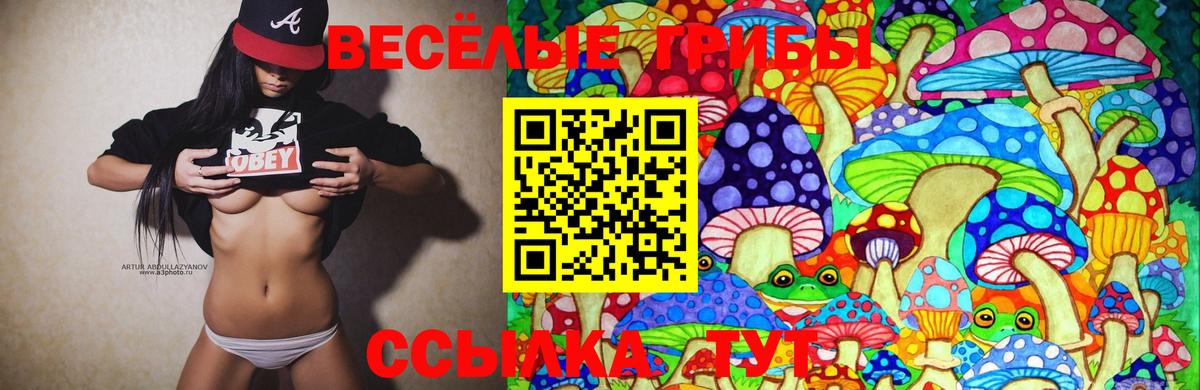 Галлюциногенные грибы MAGIC MUSHROOMS  Вход с VPN  Галлюциногенные грибы MAGIC MUSHROOMS  Ростов-на-Дону 