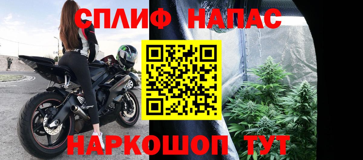 Бошки марихуана Bruce Banner  МАРИХУАНА White Widow  МАРИХУАНА White Widow  Ростов-на-Дону  Вход с VPN 